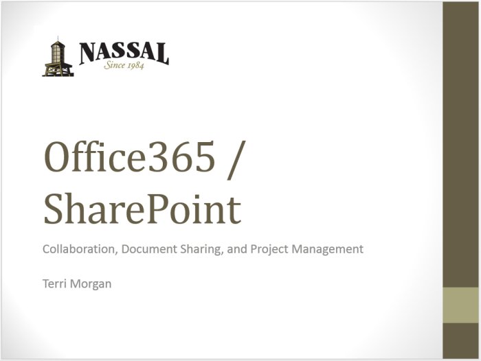 Executive Briefing: SharePoint